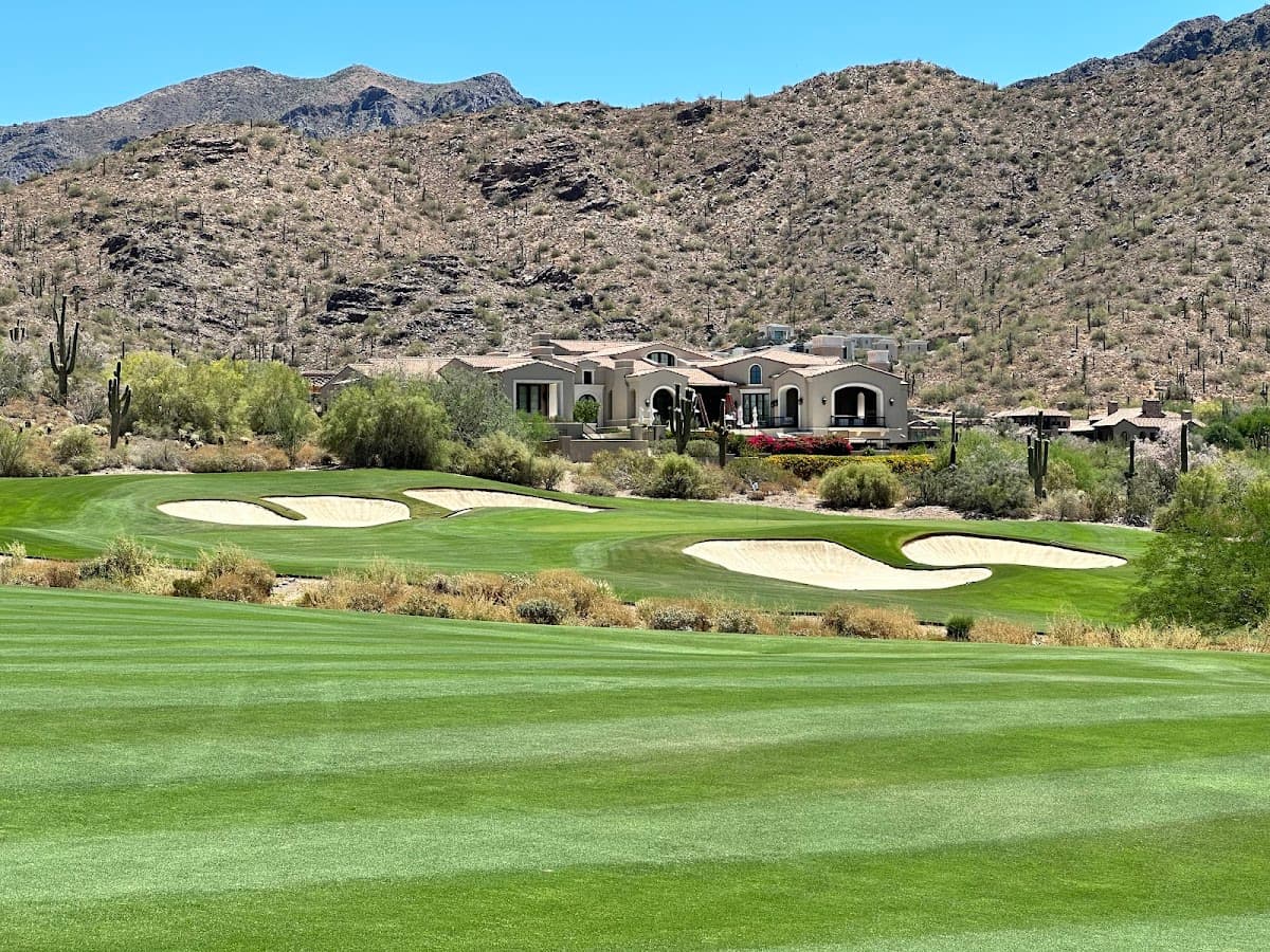 Silverleaf