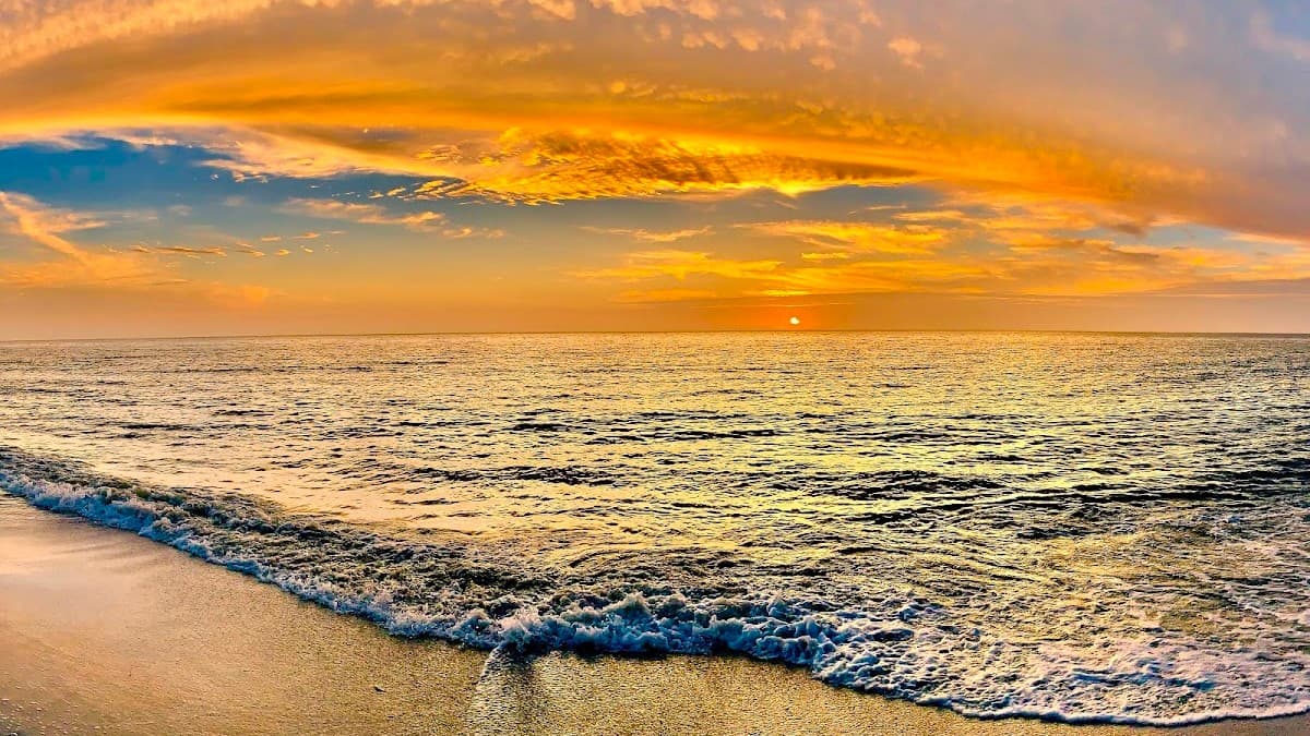 Little Hickory Shores
