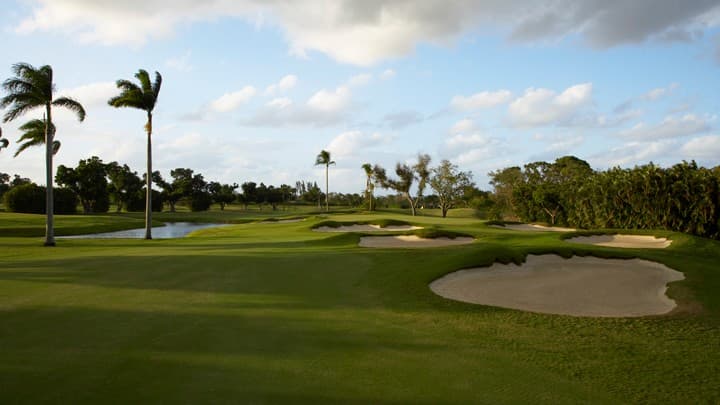 Pine Tree Golf Club