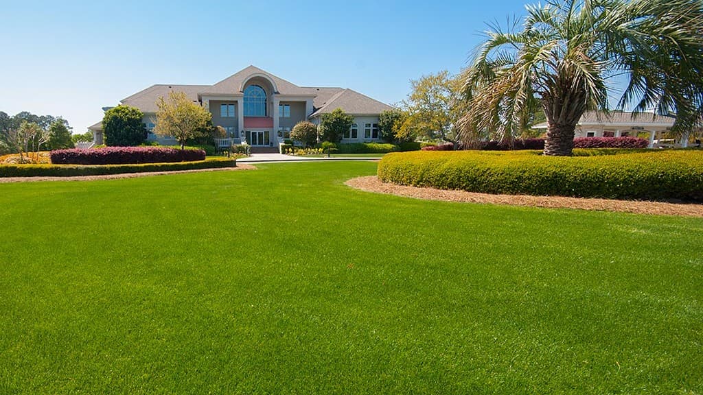 Ocean Ridge Plantation