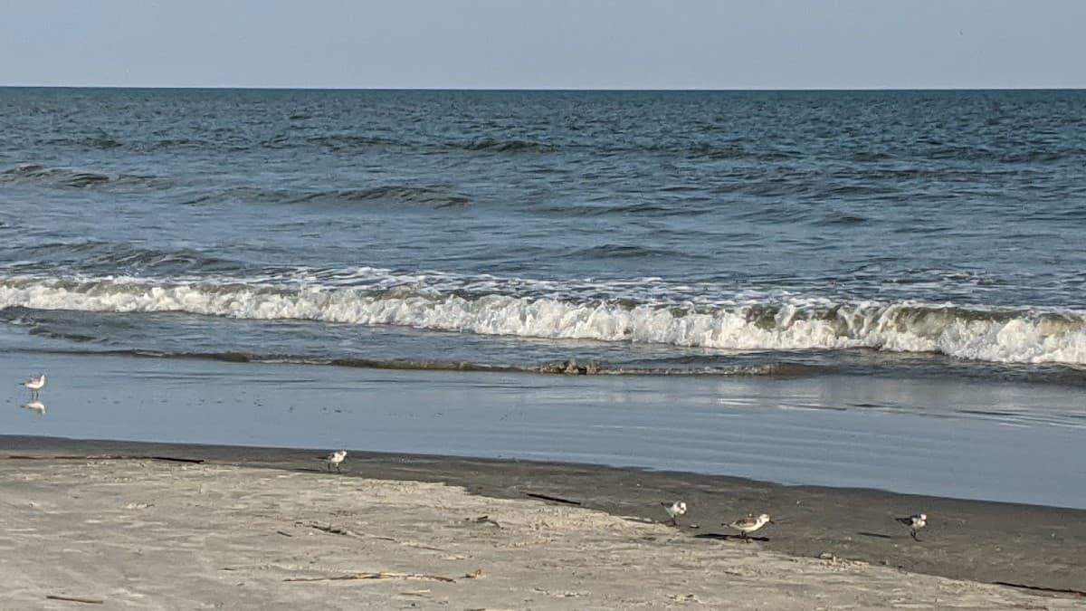 Johns Island
