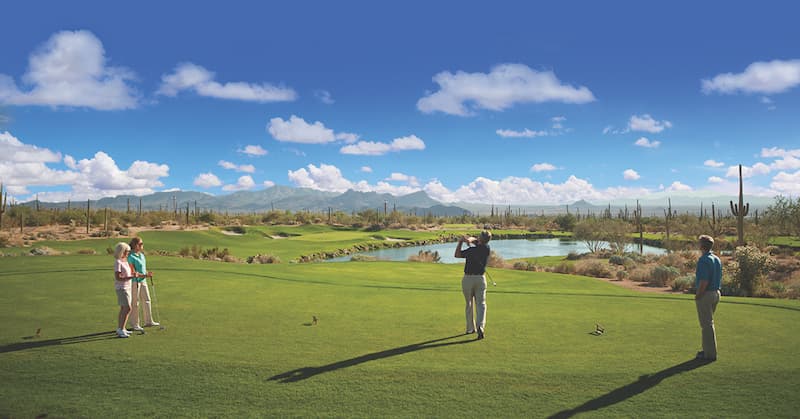Dove Mountain Ritz Carlton Resort and Golf Community